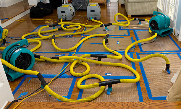 Professional Basement Flood Cleanup technician working in Manzanola, CO
